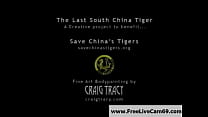 Save China's Tigers: Free Funny Porn Video a6