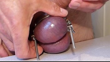 CBT - Separated Testicles